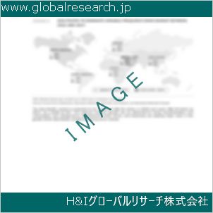 グローバルリサーチ調査資料のイメージ